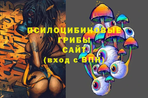 гидропоника Алексеевка